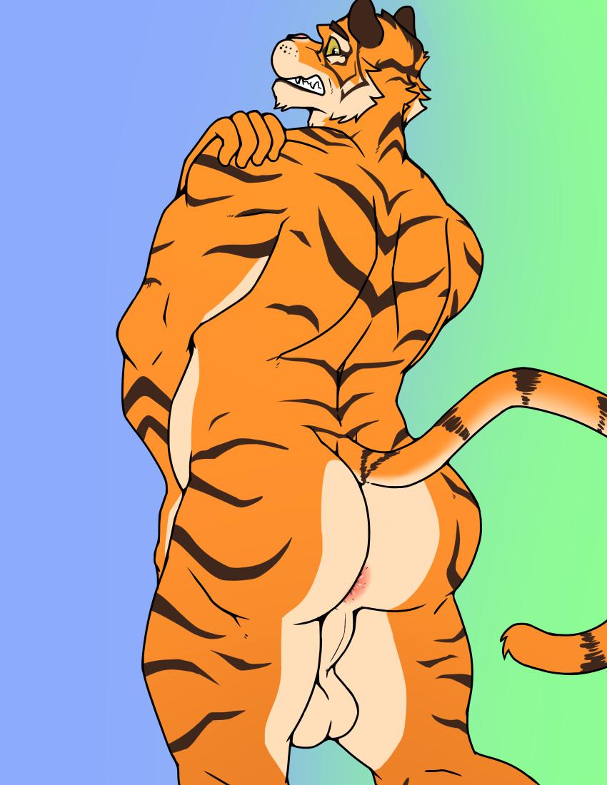 absurd_res anthro anus balls big_butt butt digital_media_(artwork) epic_games felid fortnite fur genitals hair hi_res looking_back male mammal muscular muscular_anthro muscular_male nude orange_body orange_fur oscar_(fortnite) pantherine rear_view simple_background solo stripes sylvanedadeer tail tiger