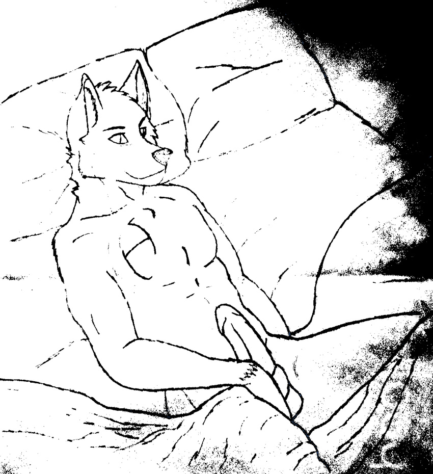 bed canine dark dexter fox kane male mammal nude penis pose solo spreading teasing zealot
