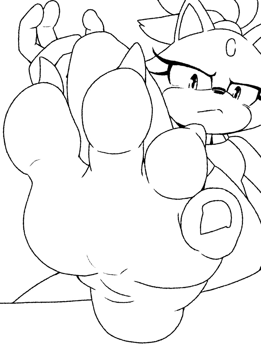blaze_the_cat claws feet female foot_focus hi_res humanoid_feet looking_at_viewer plantigrade sega sketch soles solo sonic_the_hedgehog_(series) thesigmaarts toe_claws toes