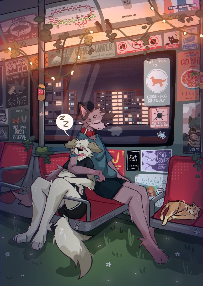 absurd_res anthro barefoot bottomwear canid canine clothing collar detailed_background domestic_cat duo english_text feet felid feline felis feral hi_res male mammal mintcashew shirt shorts sitting t-shirt text topwear train vehicle