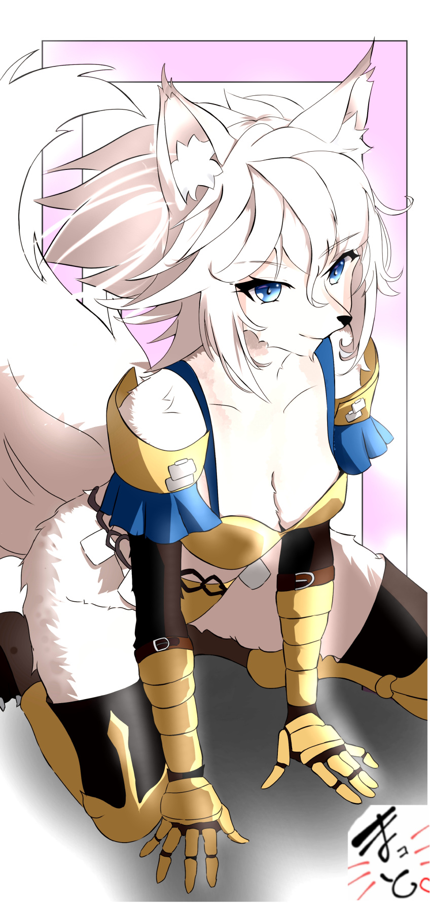 2024 5_fingers absurd_res all_fours anthro armor armwear barefoot black_armwear black_clothing black_gloves black_handwear black_legwear blue_bra blue_clothing blue_eyes blue_underwear border bra breasts canid canine claws cleavage clothed clothing dinah_(unicorn_overlord) feet female fingers fluffy fluffy_tail fox fur gloves grey_body grey_fur grey_hair hair handwear hi_res kneeling legwear makoto_x mammal medium_breasts panties pauldron pink_background pink_border pupils simple_background smile solo tail toe_claws underwear unicorn_overlord vanillaware white_background white_body white_border white_claws white_fur white_hair white_pupils yellow_armwear yellow_bra yellow_clothing yellow_gloves yellow_handwear yellow_legwear yellow_panties yellow_underwear