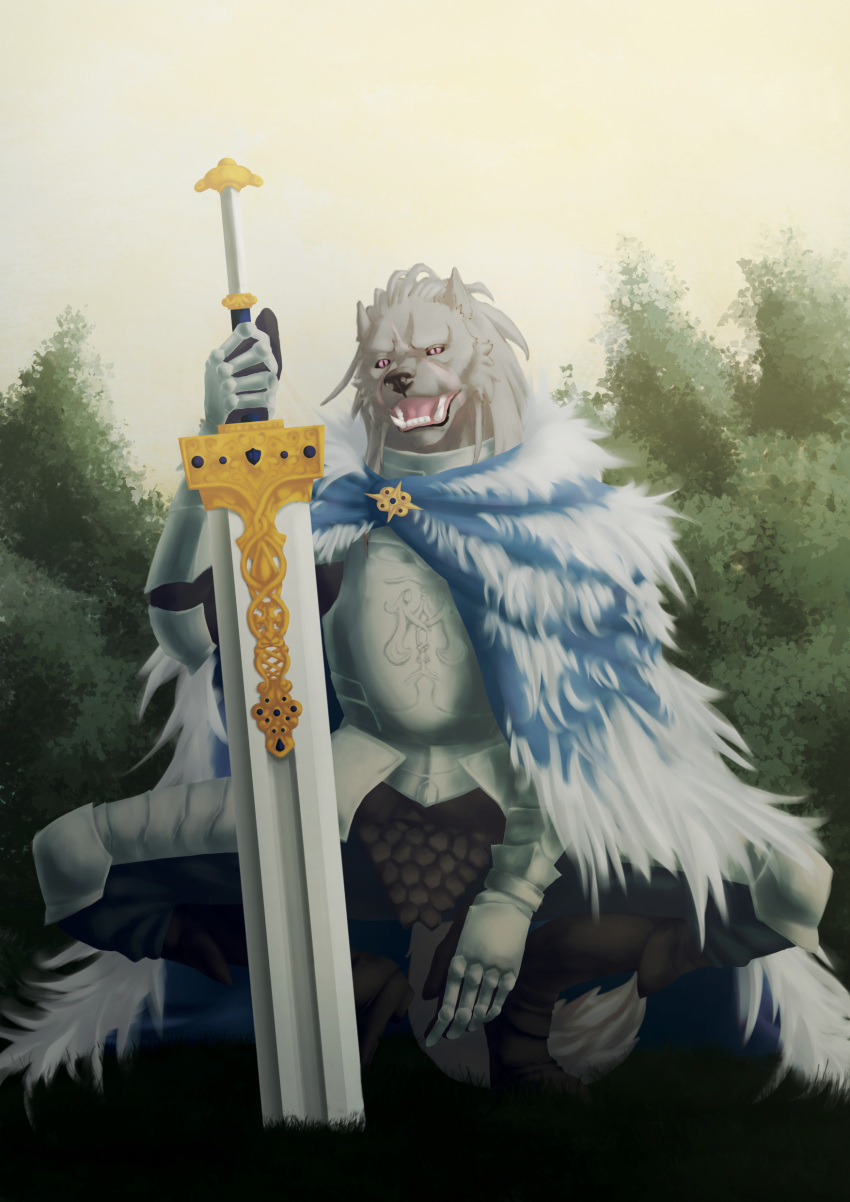 absurd_res anthro armor blade blaidd_(elden_ring) canid canine canis cape clothed clothing elden_ring fangs fingers fromsoftware fur grey_body hi_res humanoid looking_at_viewer male mammal melee_weapon open_mouth purple_eyes sammaeel scar solo spread_legs spreading sword teeth weapon wolf