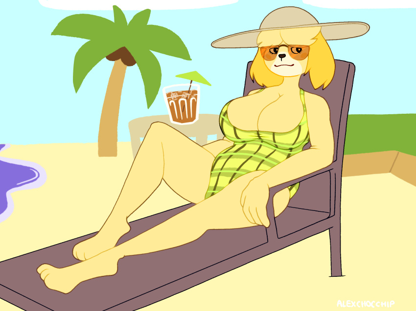 alex_choc_chip alexchocchip animal_crossing anthro clothing female hi_res isabelle_(animal_crossing) nintendo solo swimwear