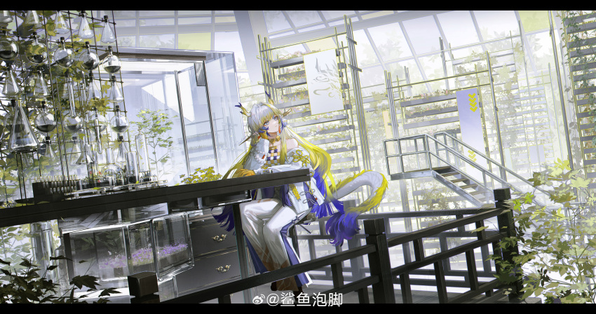 1girl absurdres arknights bare_shoulders beads blonde_hair blue_horns blue_tail chinese_commentary closed_mouth commentary_request day dragon_girl dragon_horns dragon_tail drawer earrings erlenmeyer_flask flask grey_eyes hair_intakes head_rest highres horns indoors jacket jewelry laboratory ladder leaf letterboxed long_hair long_sleeves looking_to_the_side multicolored_hair necklace off_shoulder pants plant pointy_ears potted_plant shayu_pao_jiao shu_(arknights) signature sitting solo table tail test_tube vial watermark weibo_logo weibo_watermark white_hair white_jacket white_pants white_tail wide_shot yellow_horns yellow_tail