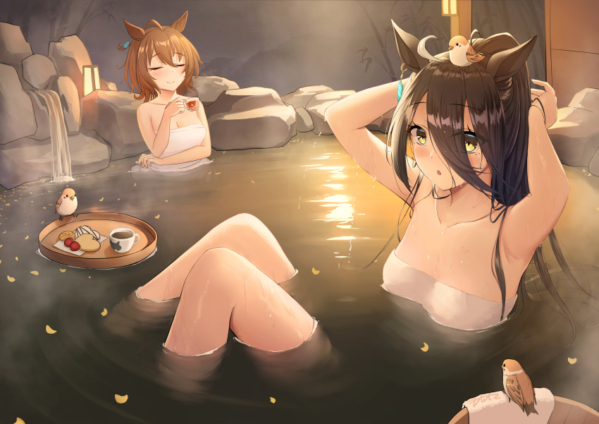 2girls absurdres adjusting_hair agnes_tachyon_(umamusume) ahoge alternate_costume animal_ears arms_up bare_shoulders bathing bird breasts brown_hair chemical_structure chestnut_mouth closed_eyes closed_mouth coffee_cup collarbone commentary_request cup disposable_cup earrings floating_tray fritz614 hair_between_eyes highres holding holding_cup horse_ears horse_girl jewelry knees_up manhattan_cafe_(umamusume) medium_breasts multicolored_hair multiple_girls naked_towel onsen open_mouth petals ponytail short_hair single_earring sitting small_breasts steam streaked_hair teacup towel tray umamusume water white_hair white_towel yellow_eyes