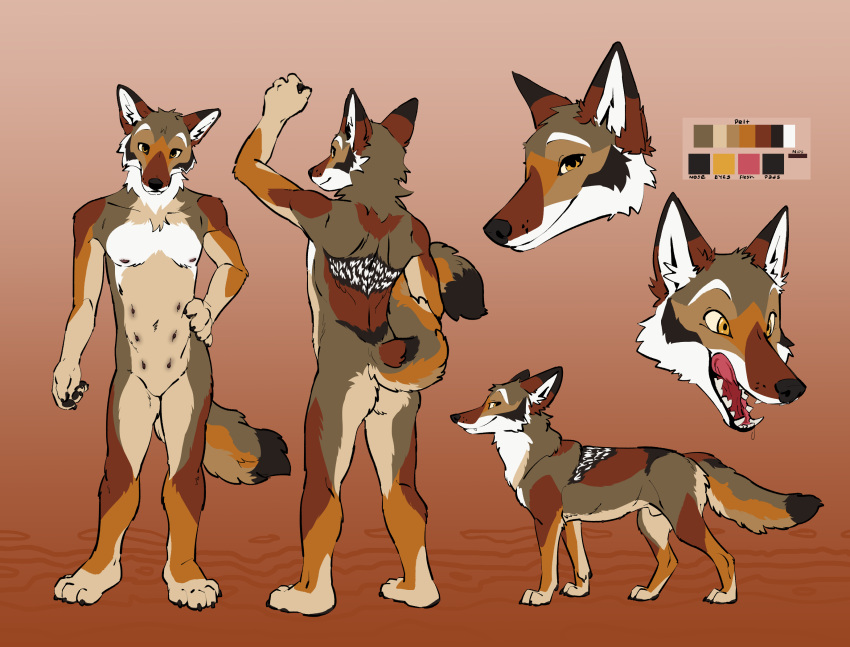animal_genitalia anthro biped canid canine canis color_swatch coyote eyebrows fangs feelferal feral fur genitals hi_res male mammal model_sheet open_mouth quadruped sheath smile solo tail teeth yops_(psychedelicyops)