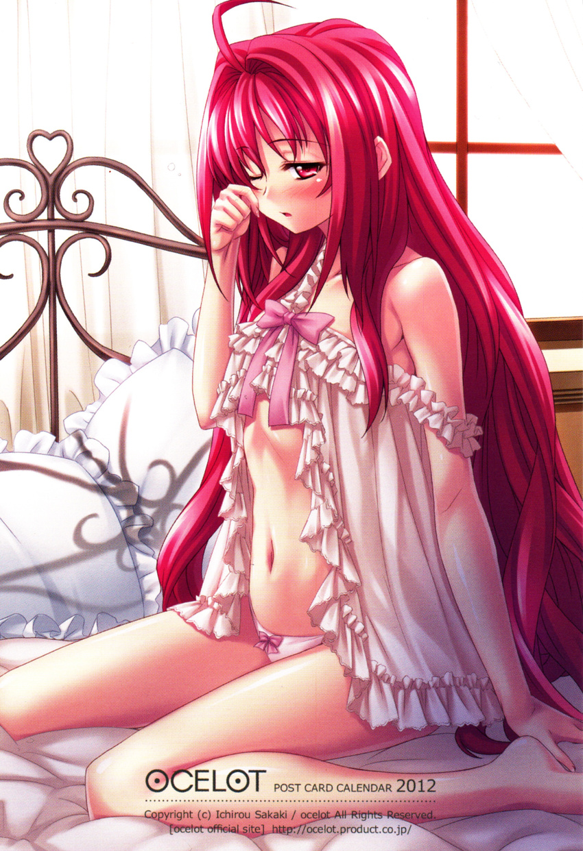 corticarte_apa_lagranges kannatsuki_noboru lingerie pantsu screening shinkyoku_soukai_polyphonica