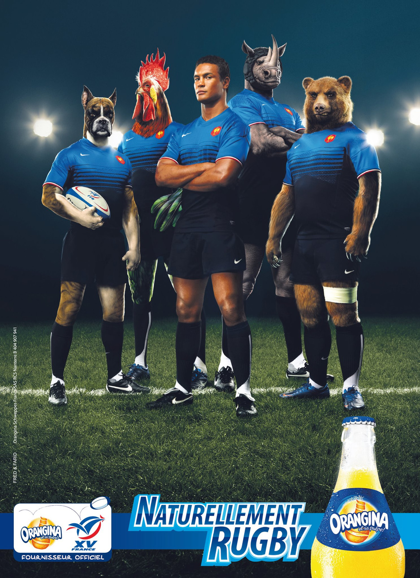 bear canine clothing crossed_arms dog ffl_paris grass group human male mammal orangina rhinoceros rooster rugby shorts socks unimpressed