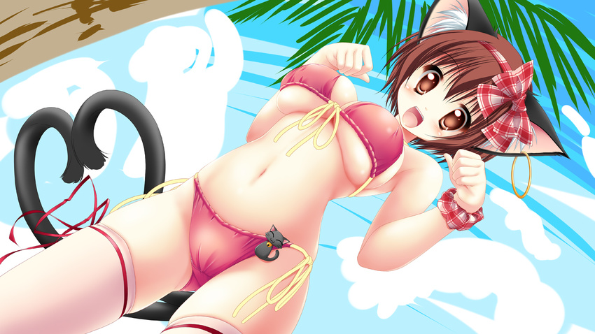 alternate_breast_size animal_ears bare_shoulders bikini blush braid breasts brown_eyes brown_hair cameltoe cat cat_ears cat_tail chen covered_nipples dutch_angle earrings front-tie_top heart heart_tail hoop_earrings jewelry kamiya_tomoe large_breasts looking_at_viewer multiple_tails navel nekomata no_hat no_headwear older open_mouth palm_tree paw_pose shiny shiny_skin short_hair side-tie_bikini single_braid skindentation smile solo swimsuit tail thighhighs touhou tree two_tails underboob wristband