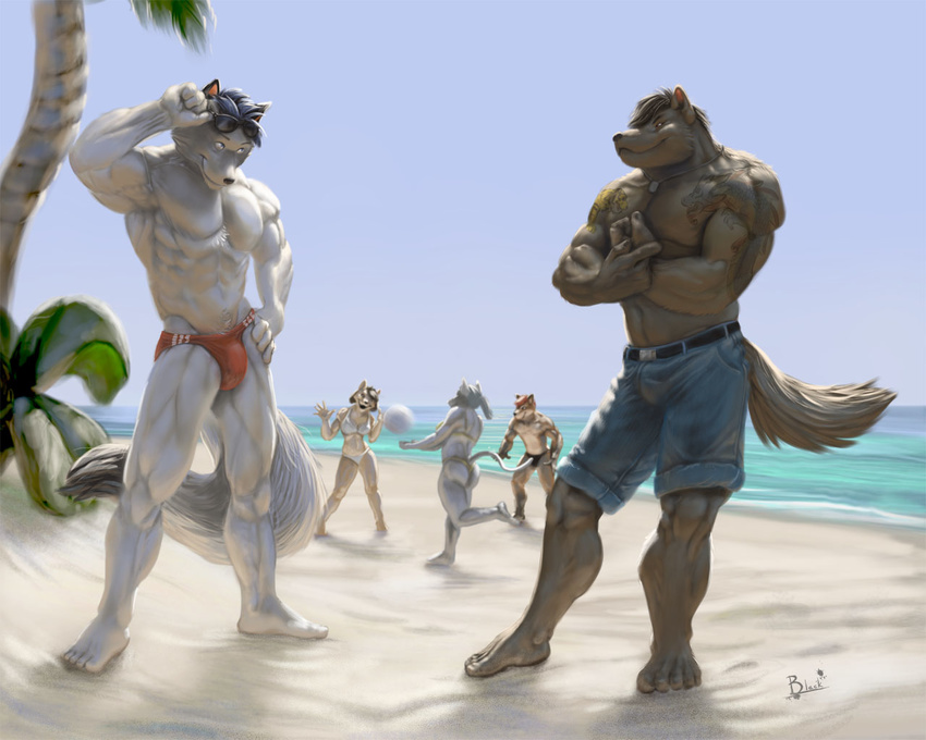 beach belt biceps big_muscles bikini blue_eyes brown_eyes bulge canine chest_tuft chubby clothed clothing dog_tags eyewear female flexing fox fur half-dressed jeans lion21 male mammal musclegut muscles pecs plantigrade pose sand scenery seaside shorts skimpy smile speedo ssunglasses standing sunglasses swimsuit tattoo thong tight_clothing topless tree tuft underwear vein volleyball wolf wood