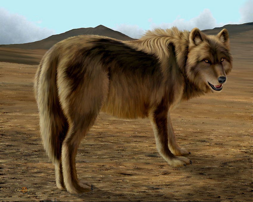 amber_eyes ambiguous_gender black_nose brown_fur canine cloud detailed_background ebon_lupus feral fur looking_at_viewer mammal mountain open_mouth solo wolf