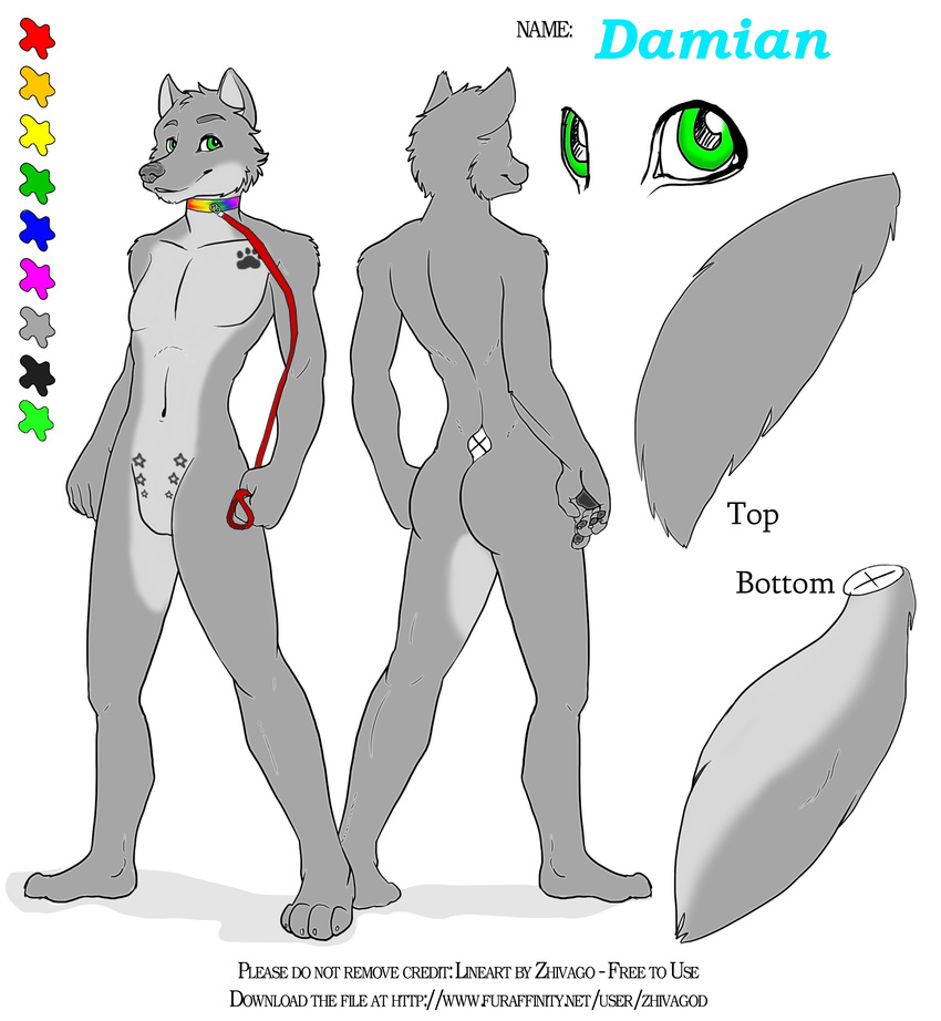 collar eyes gay green green_eyes leash male mammal paws print solo stars wolf yiffy_foxy zhivagod