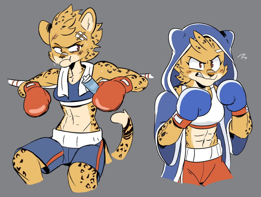 2018 abs angry anthro ash_(yeahbeezii) athletic band-aid bandage beezii boxing boxing_gloves brown_eyes brown_nose cheetah clothed clothing digital_media_(artwork) duo felid feline female frown fur grey_background grumpy hi_res hoodie looking_aside mammal muscular muscular_female rope simple_background sketch_page sport spots spotted_fur sweat sweatdrop teeth towel water_bottle wounded