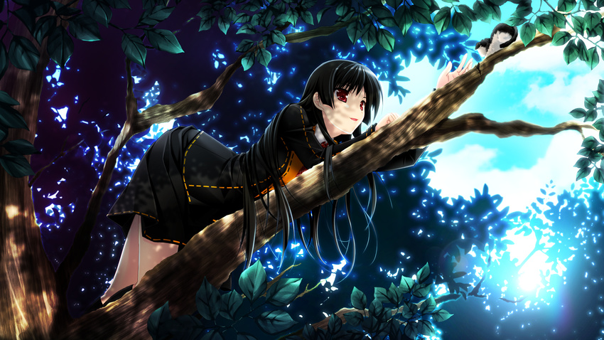 black_hair cat cloud game_cg highres ichinose_yua leaf makita_maki non-web_source red_eyes school_uniform shinigami_no_testament sky solo tree