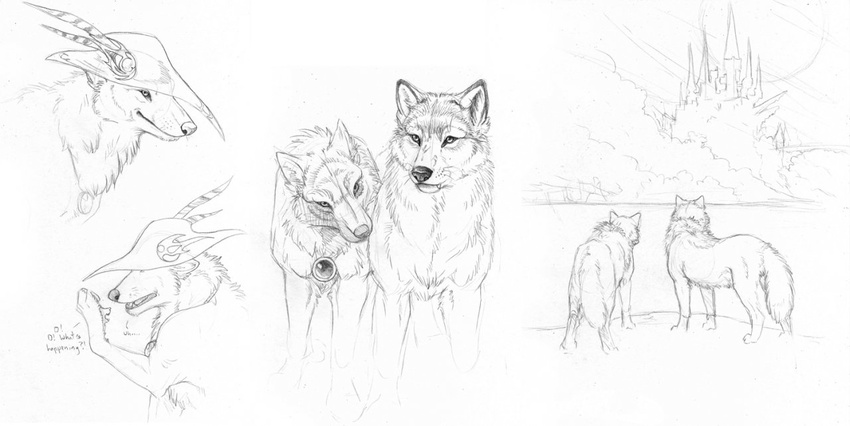 city couple feral hat hibbary mammal medallion sketch wolf
