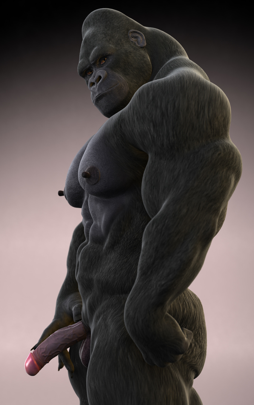 abs ape balls biceps cgi gorilla kupopo male mammal muscles pecs penis primate solo vein veins