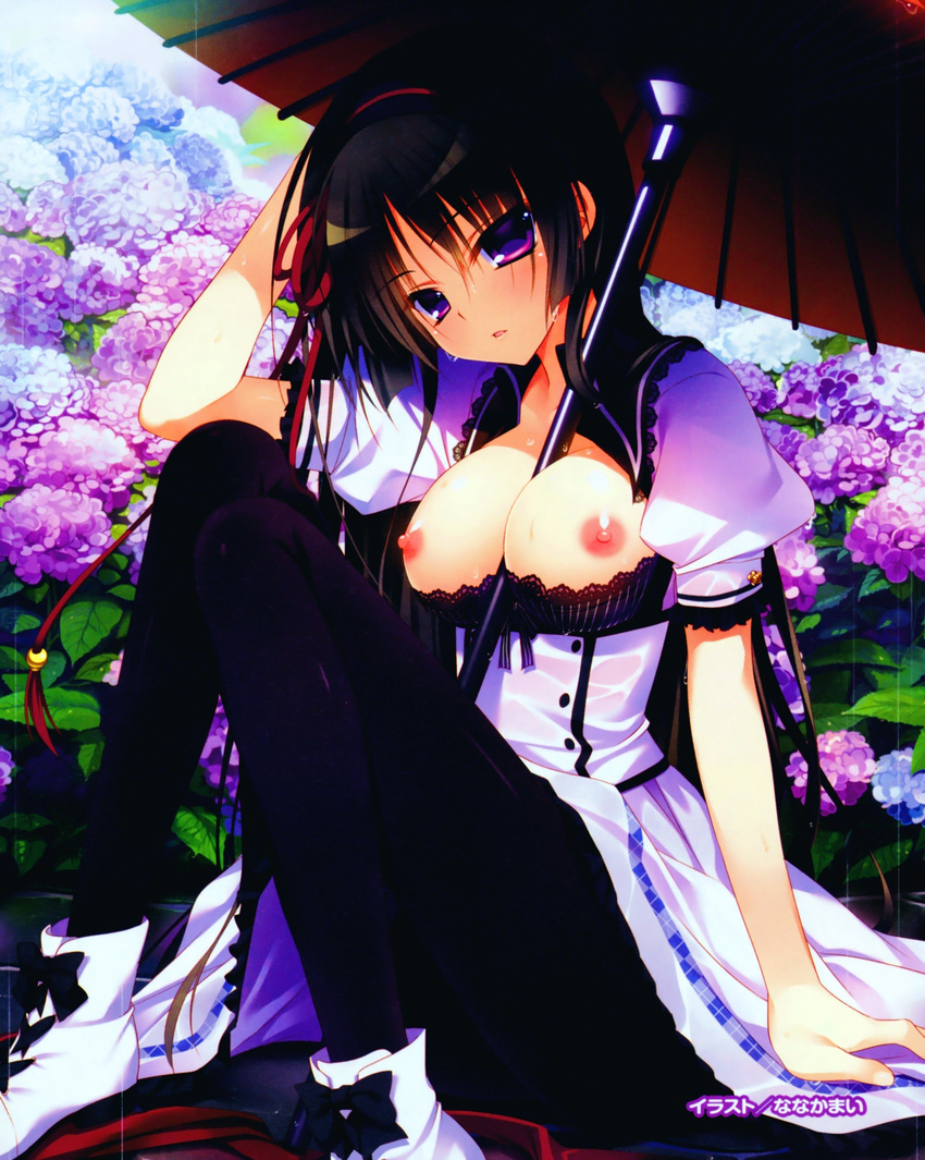 :o ankle_boots arm_support artist_name bangs between_breasts black_bra black_hair black_legwear blush boots bow bow_bra bra bra_pull breasts breasts_outside buttons dress flower hair_between_eyes hair_ribbon hairband hand_on_own_head head_tilt highres hydrangea kuchifusa_yogiri lace lace-trimmed_bra large_breasts long_hair looking_at_viewer nanaka_mai nature nipples official_art open_clothes open_mouth outdoors pantyhose parasol parted_lips plaid pure_girl purple_eyes rain ribbon scan school_uniform sitting solo striped translated umbrella underwear vertical-striped_bra vertical_stripes very_long_hair wet wet_clothes