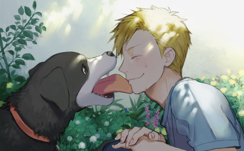 alphonse_elric blonde_hair collar den_(fma) dog face face_licking fullmetal_alchemist garden licking male_focus noako smile sweat