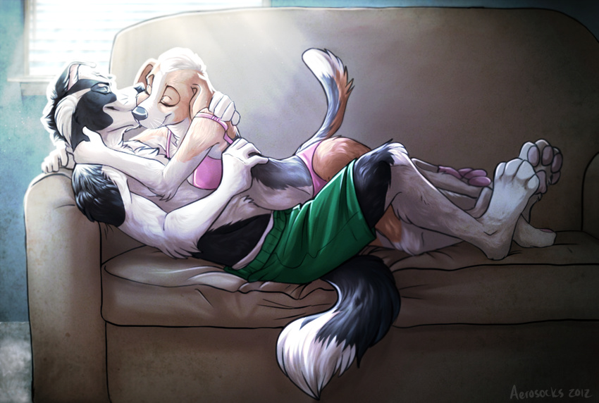 aerosocks biceps black_fur border_collie bra canine chest_tuft clothed clothing couple cuddling dog eyes_closed female fur half-dressed holding hug kissing lily lying male mammal muscles on_back panties pecs shorts skimpy sofa straight topless tuft underwear white_fur zeek