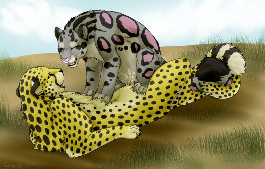 anthro anthro_on_feral claws clouded_leopard cum eyes_closed feline female feral feral_on_feral interspecies jasiri leopard male mammal nude princess_tagalong sex spots straight toradoshi whiskers