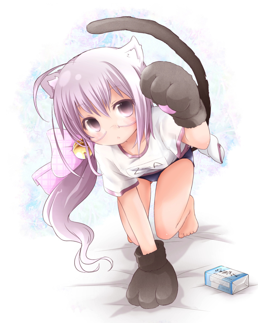 akino_coto all_fours animal_ears bare_legs barefoot bell buruma cat_ears cat_paws cat_tail glasses gym_uniform highres jingle_bell long_hair looking_at_viewer original paws pink-framed_eyewear purple_eyes purple_hair semi-rimless_eyewear side_ponytail solo tail under-rim_eyewear