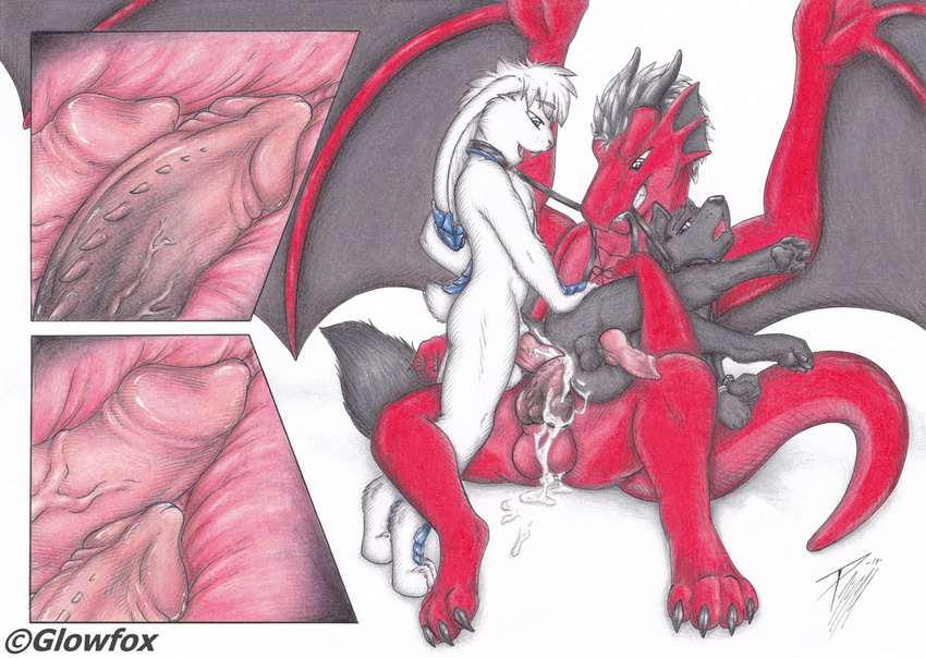 anal_penetration balls biceps canine collar cum cum_in_ass cum_inside double_anal double_penetration dp dragon folf fox gay glowfox group group_sex hybrid internal knot leash male mammal penetration red_dragon sex shapeshifter stargod threesome wings wolf