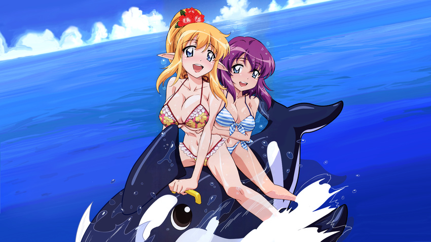 blonde_hair blue_eyes breasts elf henrietta henrietta_de_tristain highres huge_breasts large_breasts pointy_ears purple_hair tiffania tiffania_westwood wallpaper zero_no_tsukaima