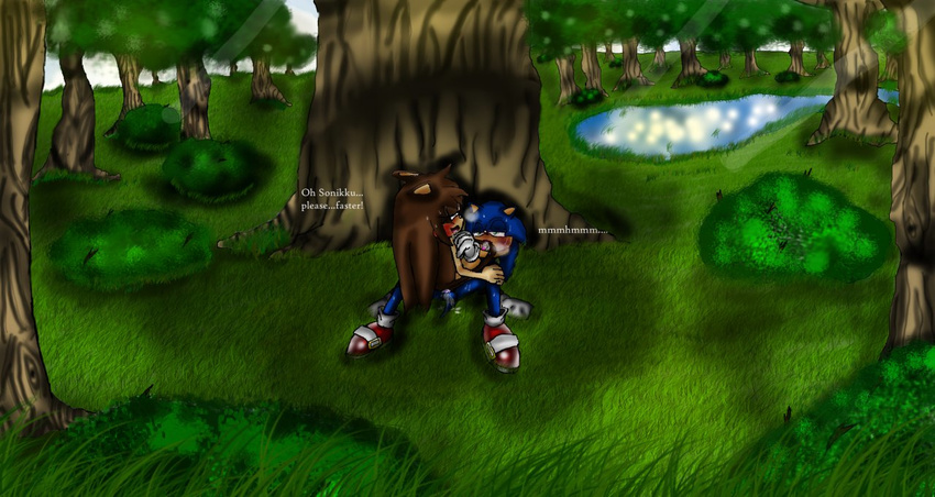 balls blush breasts brown_eyes bushes cum english_dialog forest grass green_eyes happy hedgehog licking ontop pond samantha_the_hedgecat sega shadow shoes socks sonic_(series) sonic_the_hedgehog sunny sweat tail_fetish tongue tree wood