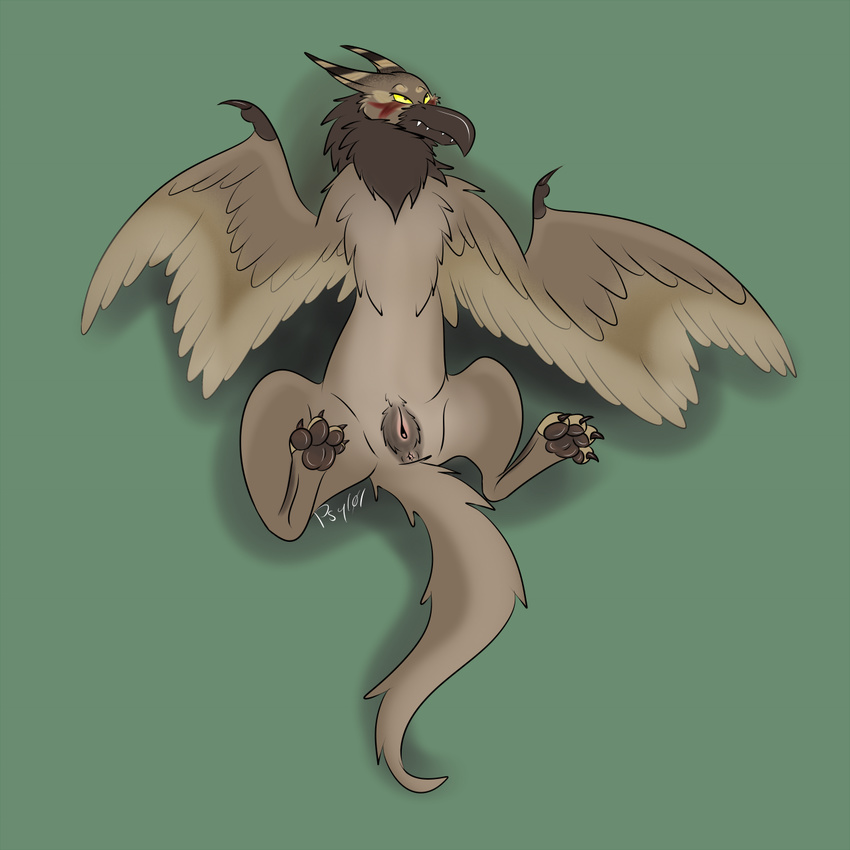 4_toes anus avian blush claws digitigrade female feral gryphon hindpaw lying nude on_back paws presenting psy101 pussy simple_background soles solo spread_legs spreading tan_feathers wings