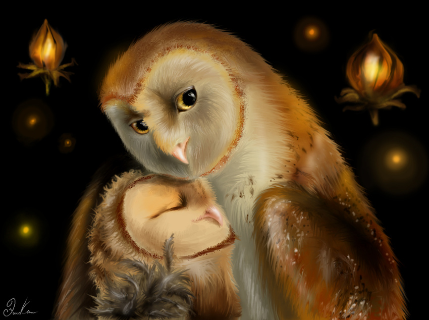 barn_owl eglantine feral gabriellegrotte guardians_of_ga'hoole guardians_of_ga'hoole owl soren