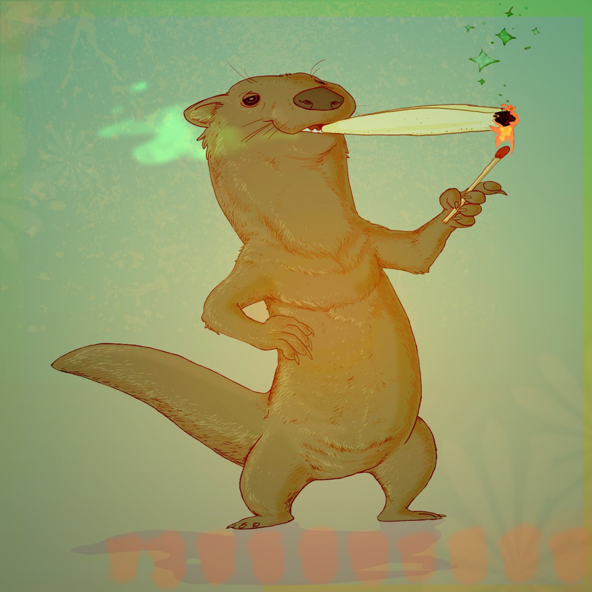 ayato drugs mammal marijuana mustelid otter solo