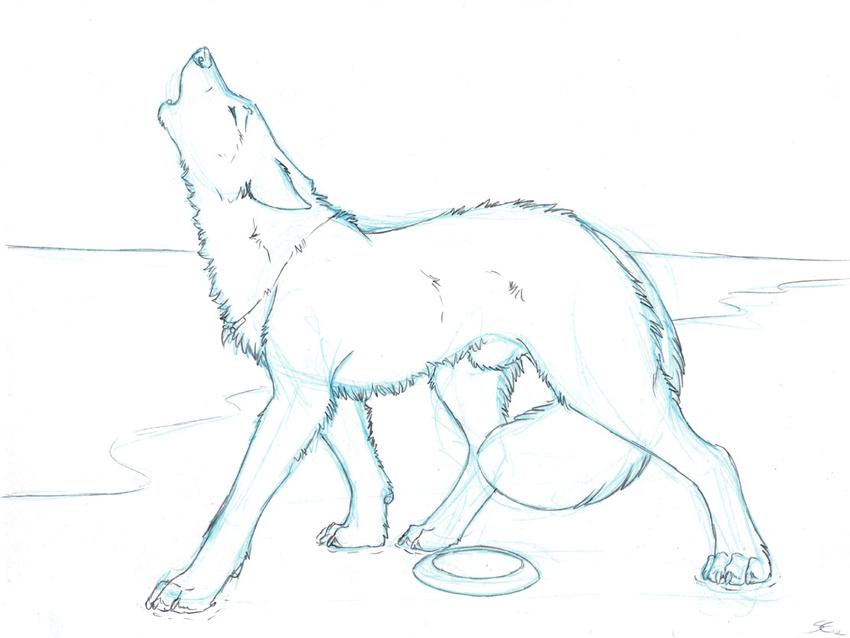 beach butt canine clothing feral frisbee fur howl male mammal monochrome necklace pants paws post_transformation sabretoothed_ermine seaside sketch snout solo teeth topless transformation wolf