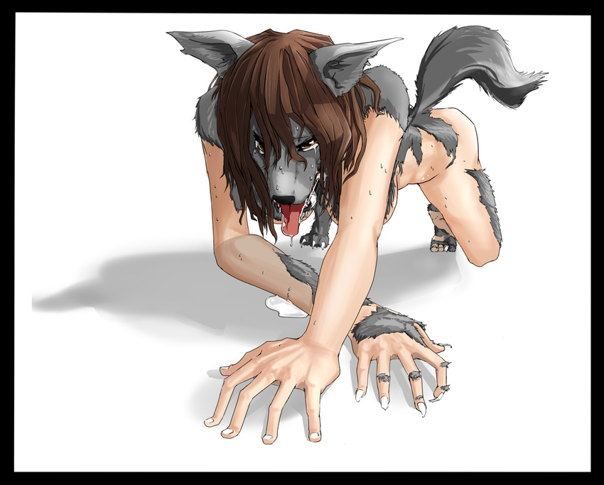 brown_eyes brown_hair canine crying female fur grey_fur hair human mammal nude oak panting plain_background saliva shadow simple_background solo tongue transformation white_background wolf