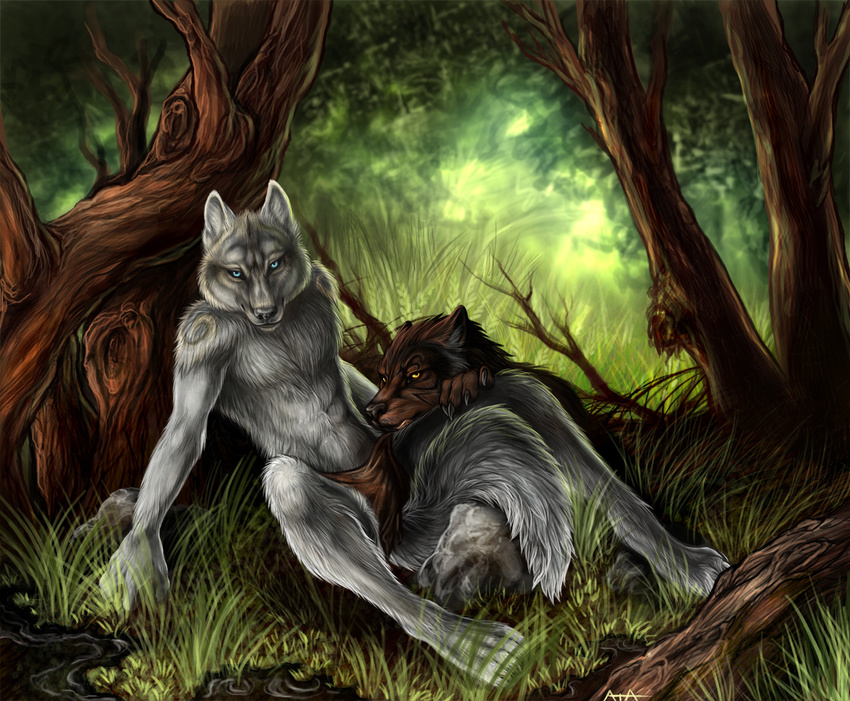 blue_eyes canine clothed clothing couple detailed duo forest half-dressed loincloth lying male mammal nature orion rukis scenery topless tree wolf wood