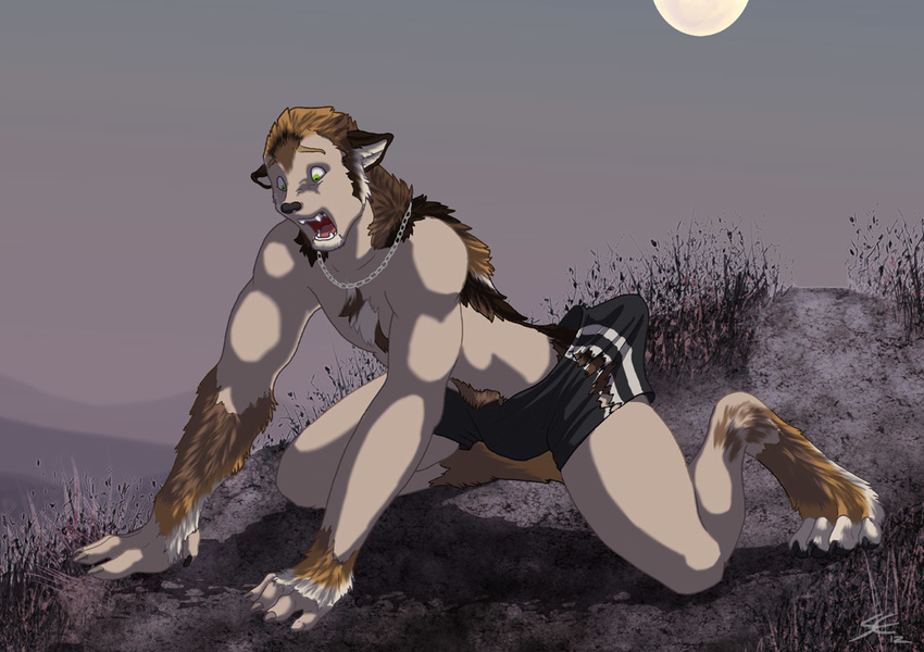 canine claws clothed clothing fear fur green_eyes hair half-dressed hindpaw human male mammal moon open_mouth pants paws ripping sabretoothed_ermine snout solo teeth topless transformation were werewolf wolf