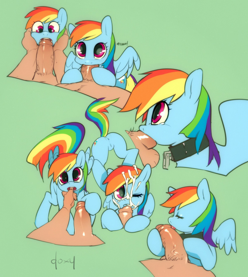 anus butt collar cum cum_on_face doxy equine erection fellatio female feral friendship_is_magic horse human interspecies licking male mammal messy montage my_little_pony oral oral_sex orgasm pegasus penis pony pussy rainbow_dash_(mlp) sex straight tongue wings