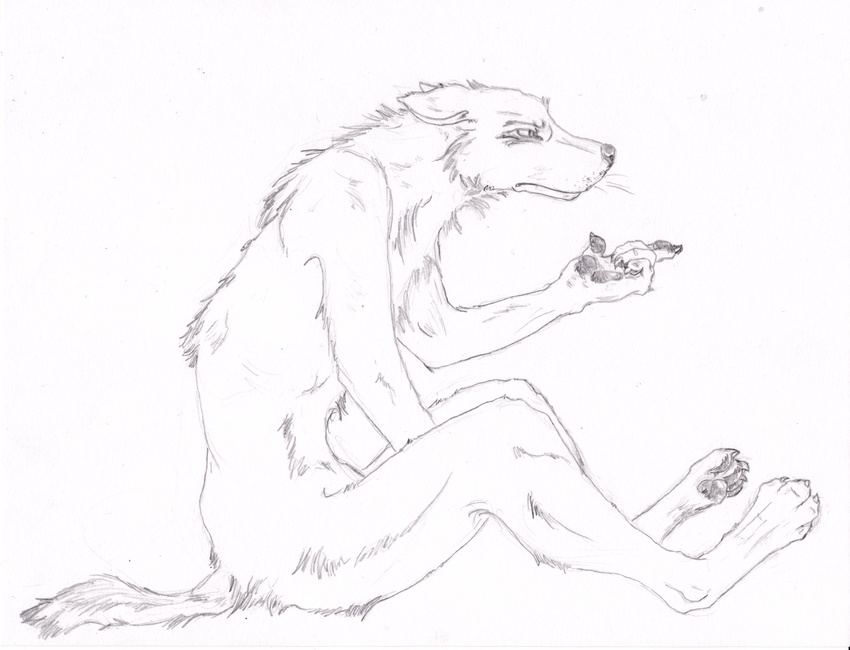 ambiguous_gender anthro black_and_white canine claws hindpaw mammal monochrome nude paws pointing semiotica sitting solo