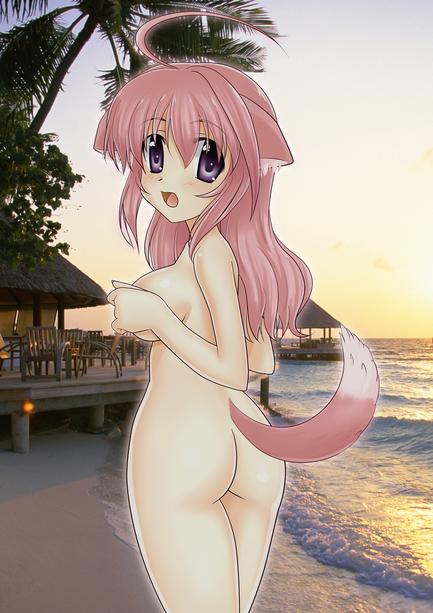 ahoge animal_ears ass beach blush breasts dog_days dog_ears dog_girl dog_tail from_behind hair_down highres koyomisa long_hair medium_breasts millhiore_f_biscotti nude open_mouth photo_background pink_hair purple_eyes solo tail tail_raised