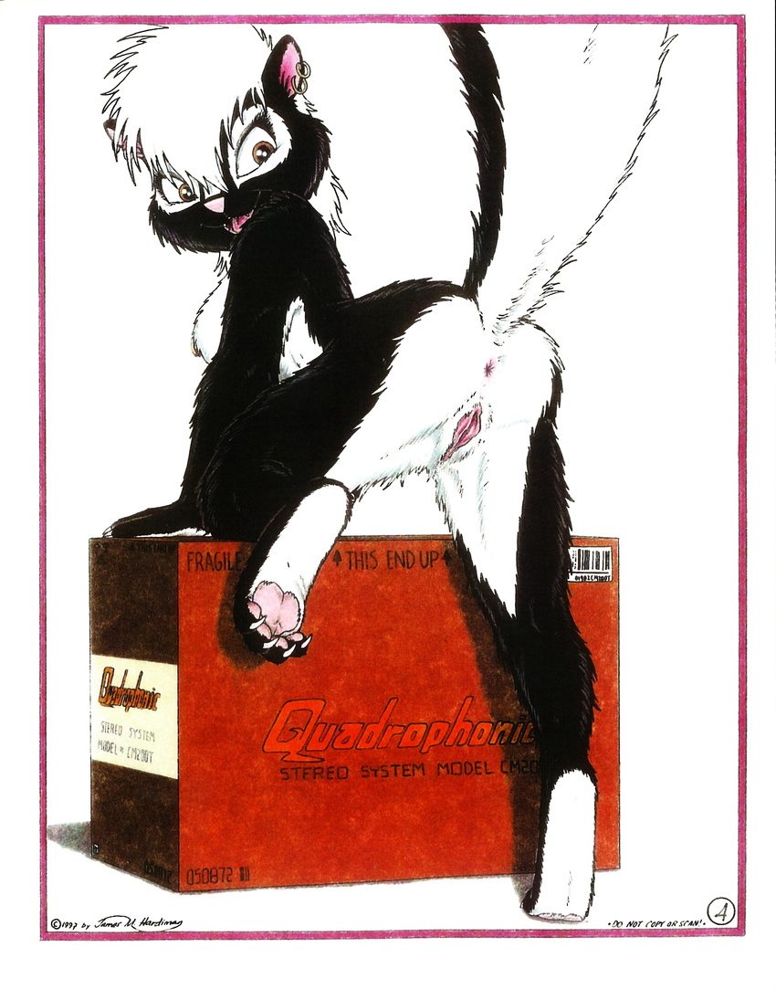 anus breasts brown_eyes claws ear_piercing female hi_res hindpaw james_m_hardiman looking_back mammal nude onyx_(jmh) paws piercing presenting pussy raised_leg raised_tail skunk solo