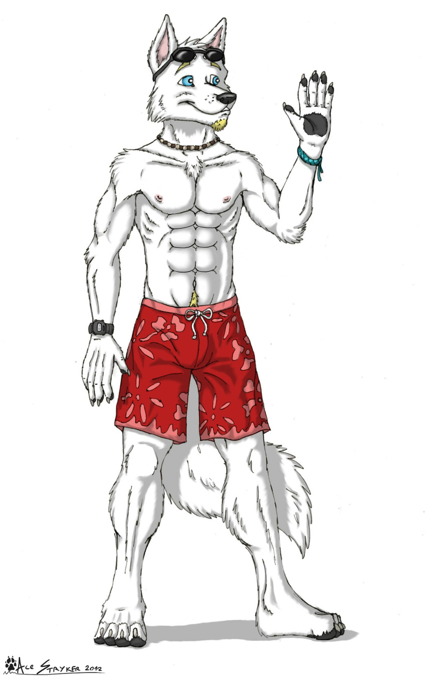 abs ace_stryker anthro biceps blue_eyes canine clothing eyewear facial_hair fur male mammal muscles nipples pecs pose shorts smile solo sunglasses swimming_trunks topless wolf