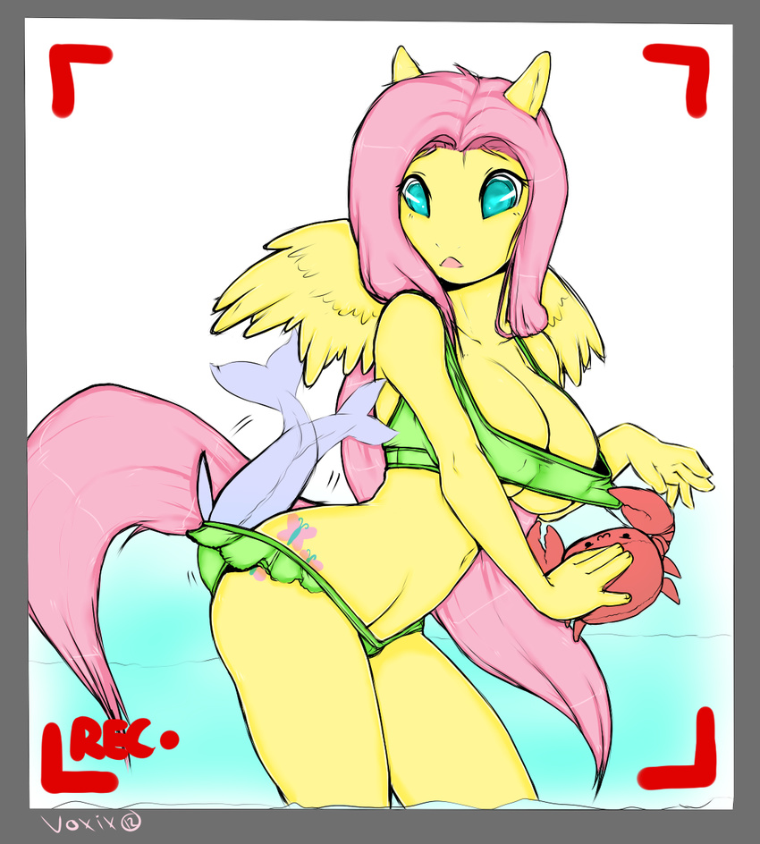 &gt;:3 anthro anthrofied arthropod bikini breasts butt cleavage clothed clothing crab crustacean cutie_mark equine female feral fish fluttershy_(mlp) friendship_is_magic horse mammal marine my_little_pony pegasus plain_background pony skimpy solo swimsuit tight_clothing voxix wardrobe_malfunction wings