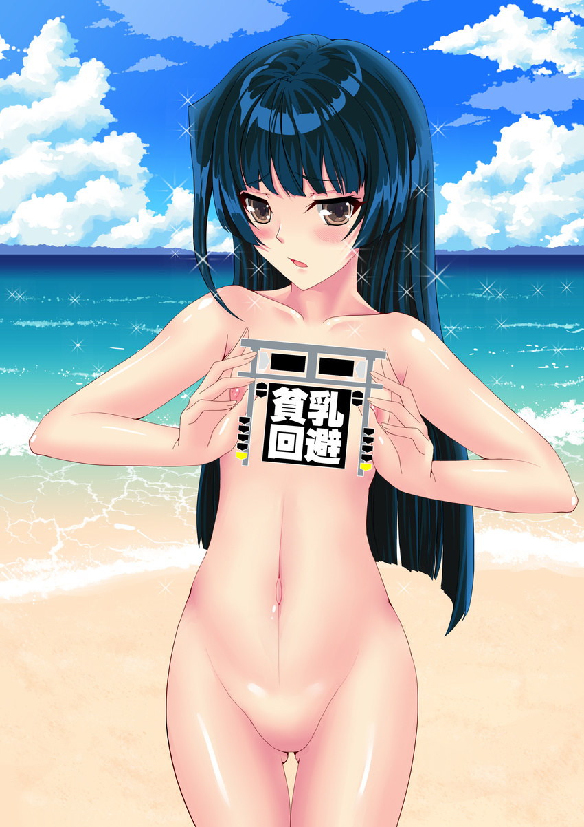 absurdres bad_id bad_pixiv_id black_hair blush brown_eyes cloud day flat_chest highres honda_masazumi kyoukaisenjou_no_horizon long_hair mizutsuki_rei navel nipples no_pussy nude ocean sky solo sparkle