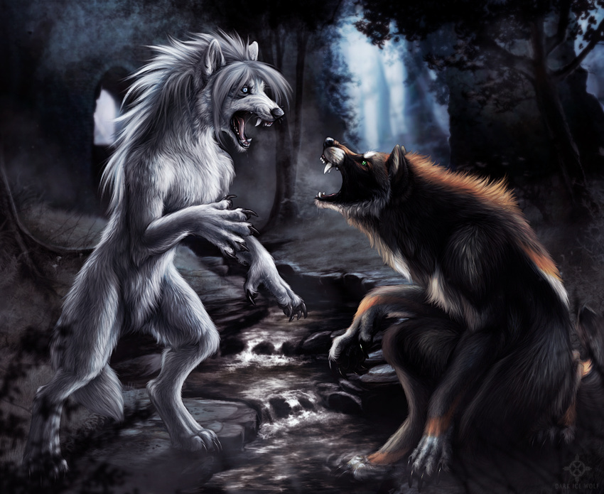 canine combat couple darkicewolf female forest male mammal nude scenery snarling stream tree wolf wood