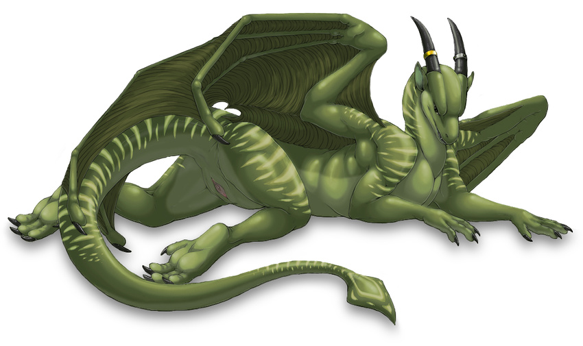 acidapluvia claws digitigrade dragon edit female feral flat_chested green_body hindpaw horn invalid_color looking_at_viewer lying nude on_front paws plain_background presenting pussy recolor royelle scalie soles solo stripes toes white_background wings