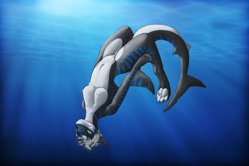 blue blue_hair blue_markings breasts claws clothed clothing digitigrade female fish hair hindpaw marine markings multi-colored multi-colored_body nika_(shark) nipples nude paws piercing pussy shark skimpy soles solo stripes swimming toes underwater water