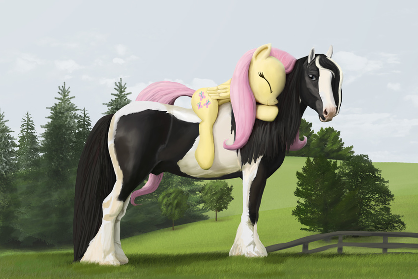 equine female feral fluttershy_(mlp) friendship_is_magic grass gypsy hair horse lostdragon01 male my_little_pony pegasus tinker vanner wings