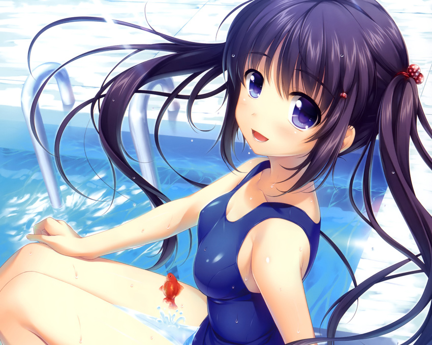 alpha animal black_hair fish original pool school_swimsuit swimsuit twintails water wet