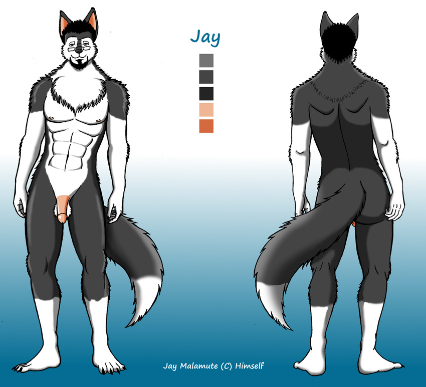 balls butt canine color_swatch eyewear glasses jay jusu_kilappa looking_at_viewer malamute male mammal model_sheet multiple_angles nude penis solo