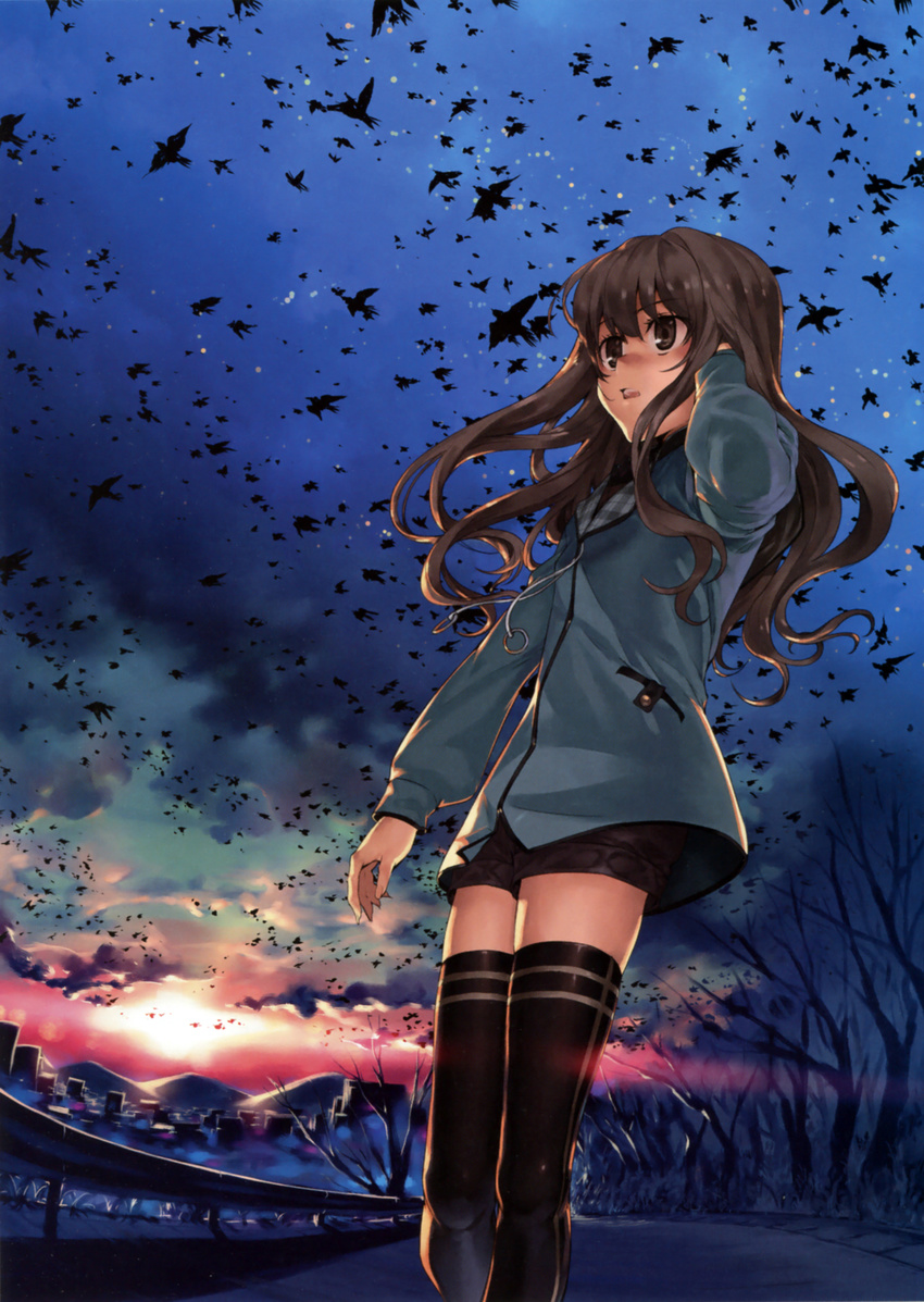 absurdres bird black_legwear brown_eyes brown_hair highres hood hoodie kumari_kojika long_hair mahou_tsukai_no_yoru open_mouth perspective scan shinjirou shorts sky solo thighhighs