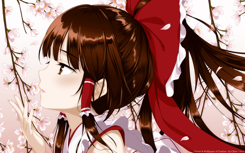 brown_hair hakurei_reimu japanese_clothes miko touhou